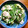 雅味みやび's cooksnap of when they made 豚肉と水菜のあっさり煮(柚子胡椒風味).