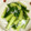 こにゃつ's cooksnap of when they made きゅうりとシラスの和え物.