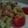 はるかっち１号's cooksnap of when they made 簡単★サーモンとアボカドのタルタル風.