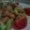 はるかっち１号's cooksnap of when they made 簡単★サーモンとアボカドのタルタル風.