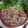 ☆ダイアママ☆'s cooksnap of when they made Wもやしの豚ピー甘みそ炒め！プルコギ風！.