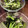 liarra's cooksnap of when they made 海苔うま！蒸し鶏と水菜のシーザーサラダ♫.