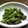 まりじん's cooksnap of when they made ししとう炒め☆.