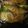 うたりんご's cooksnap of when they made カレイの煮付け（美味しい煮付け方）.