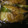 うたりんご's cooksnap of when they made カレイの煮付け（美味しい煮付け方）.