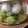 志摩☻'s cooksnap of when they made 超簡単生チョコトリュフ（≧∇≦）.