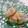 赤い電話's cooksnap of when they made あと一品！蒟蒻の味噌和え(田楽風).