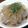 アスカチャチャ's cooksnap of when they made 私のところてん(*･艸･*)✿.