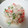 ✻Jin✻'s cooksnap of when they made 大根の漬物と野菜の白和え.
