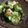 吹田のちえこ's cooksnap of when they made ナメコの酢の物.