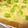 おつね's cooksnap of when they made ★枝豆マヨチーズ★トースト.