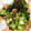 いちごちょこ♡'s cooksnap of when they made ✼ タコの酢の物　袋一つで ✼.