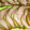 nursenon's cooksnap of when they made 簡単うま！焼豚.