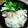☆バーバラ☆'s cooksnap of when they made ルクエで＊サーモンのキノコクリーム.