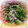 まゆちゃろ's cooksnap of when they made 菜の花のちりめんじゃこ和え(わさび).