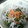 ポチうた's cooksnap of when they made 春菊とにんじんとしらすのごまだれあえ.