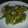 Rysmin's cooksnap of when they made オクラのオイマヨ炒め.