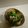 chicoすけ's cooksnap of when they made 小松菜としめじのおひたしでカルシウム☆.