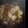 coaladog's cooksnap of when they made とろとろ牛すじ大根.