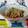 kururin18's cooksnap of when they made 簡単＊レンジできのこのバター蒸し.