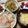 mahitarou's cooksnap of when they made 簡単しゃけ御飯.