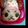 mantacarp's cooksnap of when they made ワンピース♪チョッパー★キャラ弁.