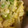 masu1004's cooksnap of when they made たたき長芋の味噌和え丼.