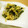 とーみママ's cooksnap of when they made 千切りと昆布の酢の物♪.