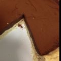 ちびはち公's cooksnap of when they made 生チョコタルト.