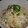 Jock's cooksnap of when they made 白菜の揚げ出し風。.