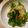 古都ちゃんまま's cooksnap of when they made ブロッコリーと玉ねぎ、えびのサラダ☻.