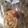 ふーみんこ's cooksnap of when they made ☆カリカリ フィナンシェ☆.