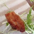 ディヤーナ's cooksnap of when they made お弁当★おつまみにも★お魚の竜田揚げ.