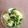 kichi1109's cooksnap of when they made ■糖質制限■ほうれん草キャベツおかかマヨ.