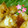 じじばばな私's cooksnap of when they made 鶏胸肉の揚げ焼き　　柚子ジャムだれ.