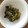 ペコミーワ's cooksnap of when they made 大根葉のゆずこしょう和え.