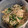 ｃｈｉａｒｉ's cooksnap of when they made 簡単☆もやしのナムル.