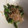 Anela777's cooksnap of when they made 簡単にあと一品♪しし唐の焼きびたし.