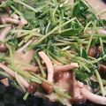 まぁの料理's cooksnap of when they made しめじと豆苗のアンチョビソース炒め.