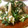 xoaixo's cooksnap of when they made ほうれん草の白和え風.