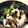 かのんママ（'-'*）'s cooksnap of when they made 焼き鮭で鮭アボカド丼.