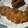 サーフブレイド's cooksnap of when they made サクサク☻とんかつ.