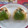 スタイリッシュママ's cooksnap of when they made きのこの簡単おむすび.