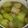 hisui0181's cooksnap of when they made 簡単☆鶏ミンチのロール白菜.