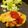 ぽこがーる's cooksnap of when they made トマトソース.