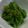はーたんﾏﾏ's cooksnap of when they made 菜の花のおひたし.