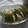 トミュー？'s cooksnap of when they made 簡単！アボカドとバナナのはちみつがけ☆.