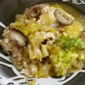 はるしまお's cooksnap of when they made 丼にも！豆腐と揚げ玉のトロトロ煮.