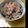 ＊しょ〜ちゃん＊'s cooksnap of when they made チーズがこくうま♪クリチ入り洋風白和え☆.