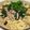 syumimam's cooksnap of when they made いろいろキノコとベーコンの和風パスタ.
